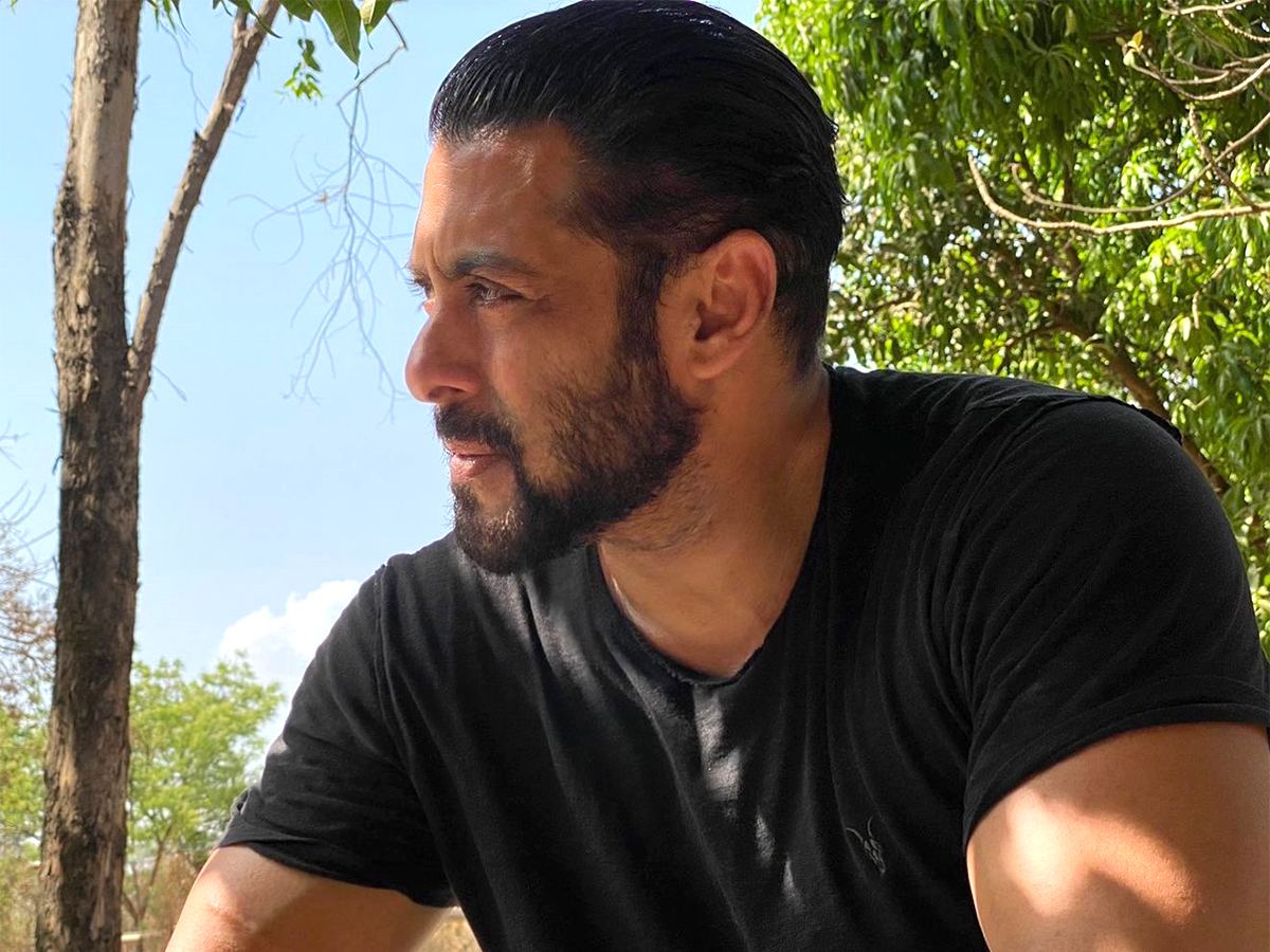 Salman Khan's Career After Sikandar