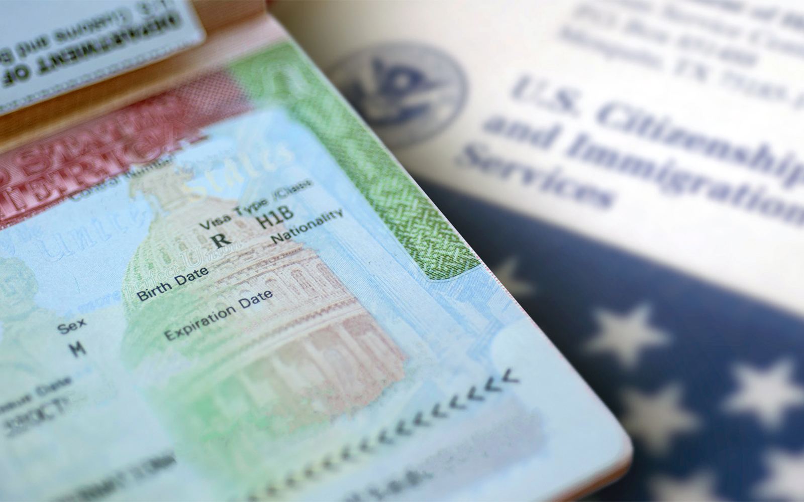 H1Bs Flagged for No Reason