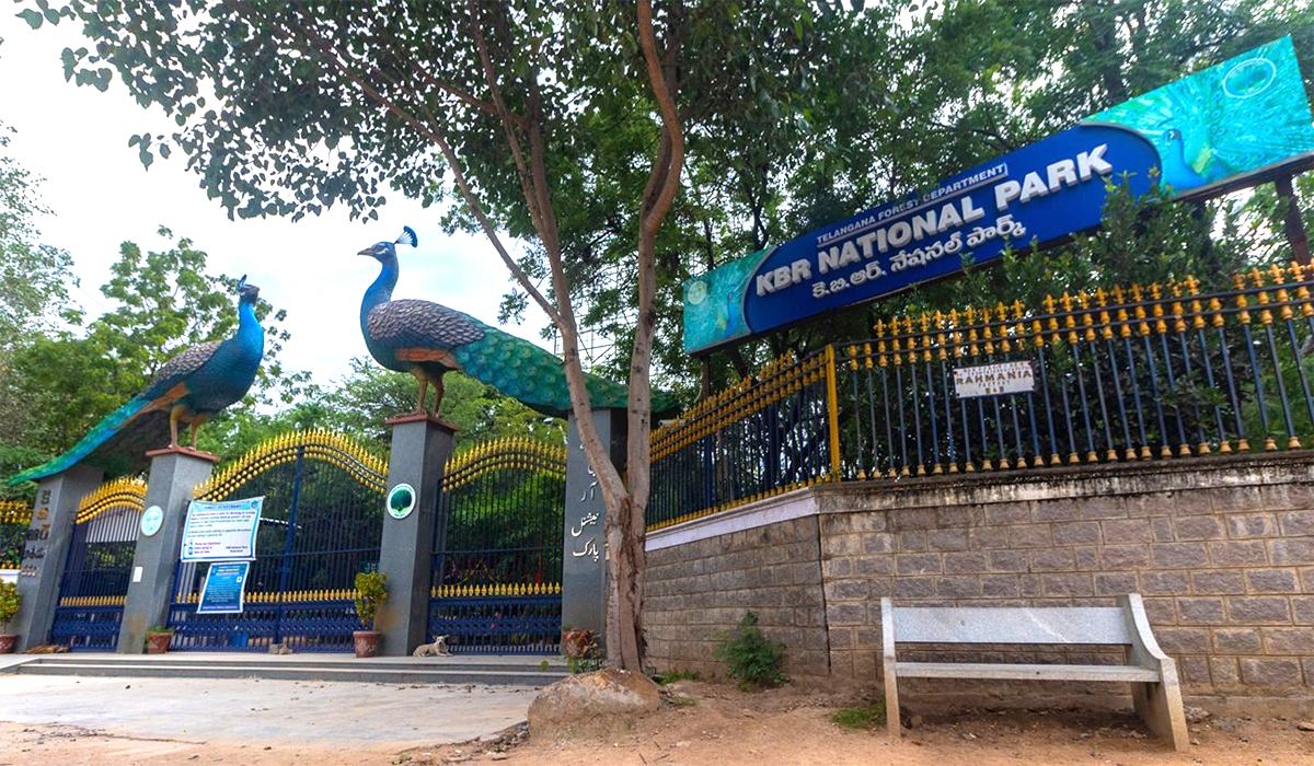 kbr-park-hyderabad Prime Lung Space