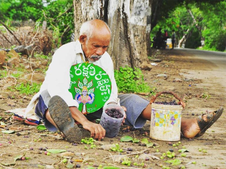 RIP Vanajeevi Ramaiah, Trees Were His Mission!