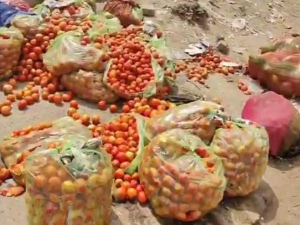 Shocking Price Crash Tomatoes Rs 1 Per Kg!