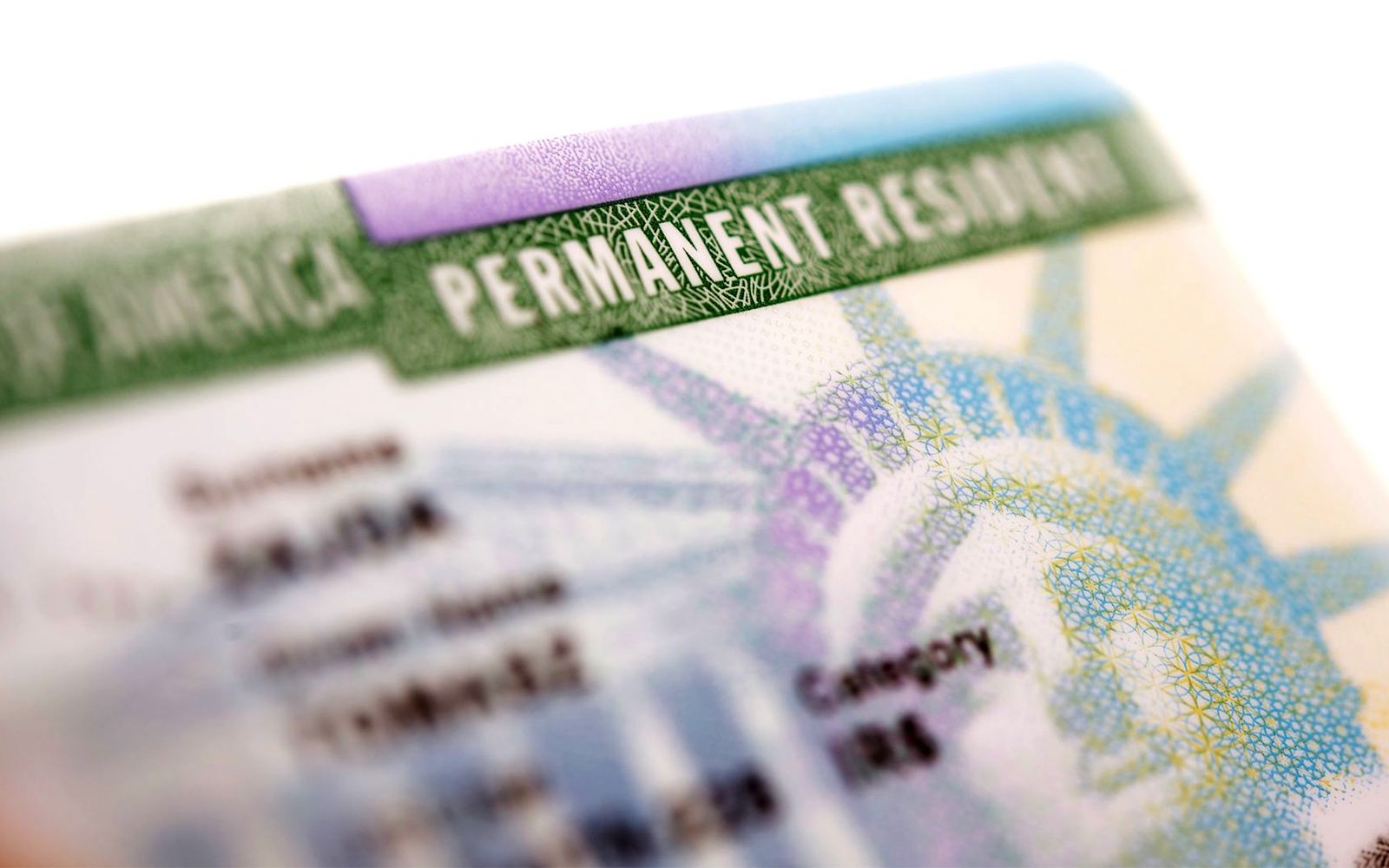 SEVIS Blunder Haunts Student’s Green Card Dreams