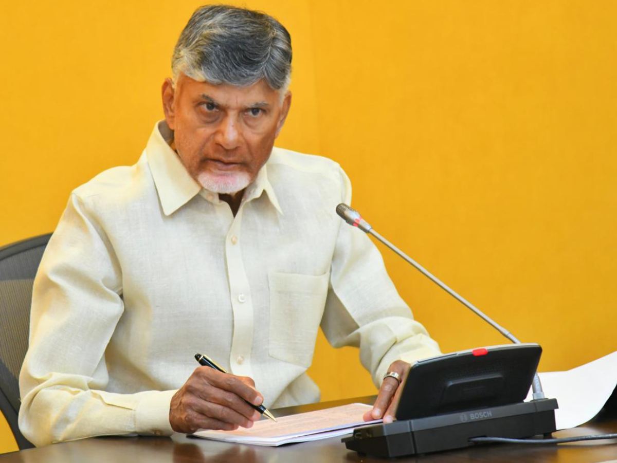 TDP - Forty Two Years Old Party