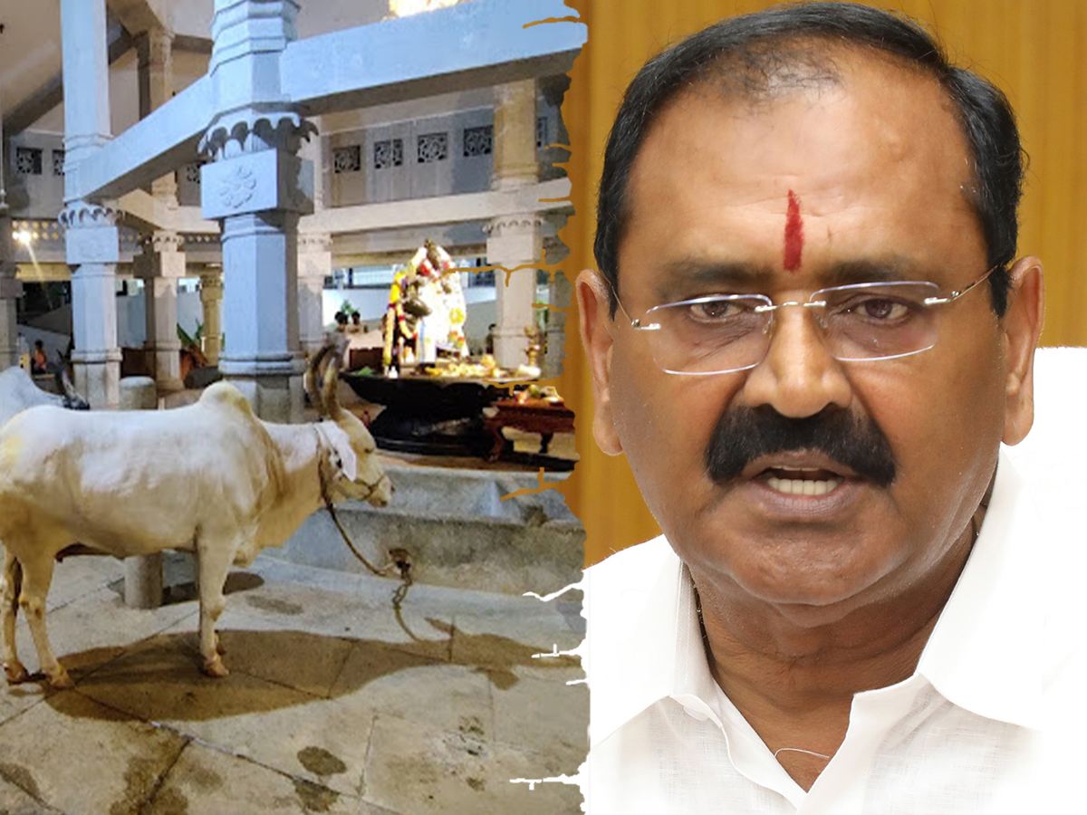 tirumala-gosala-row-turns-political-bhuma-karunakar-reddy