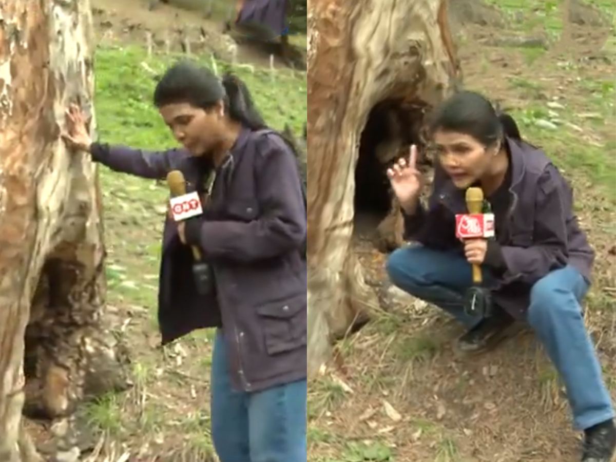 tree-journalist Shweta Singh