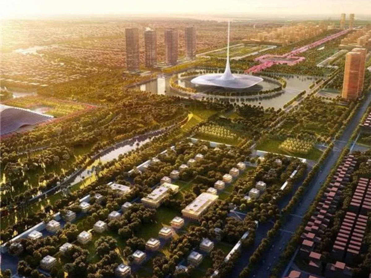 Vultures Come To Amaravati In Flocks!