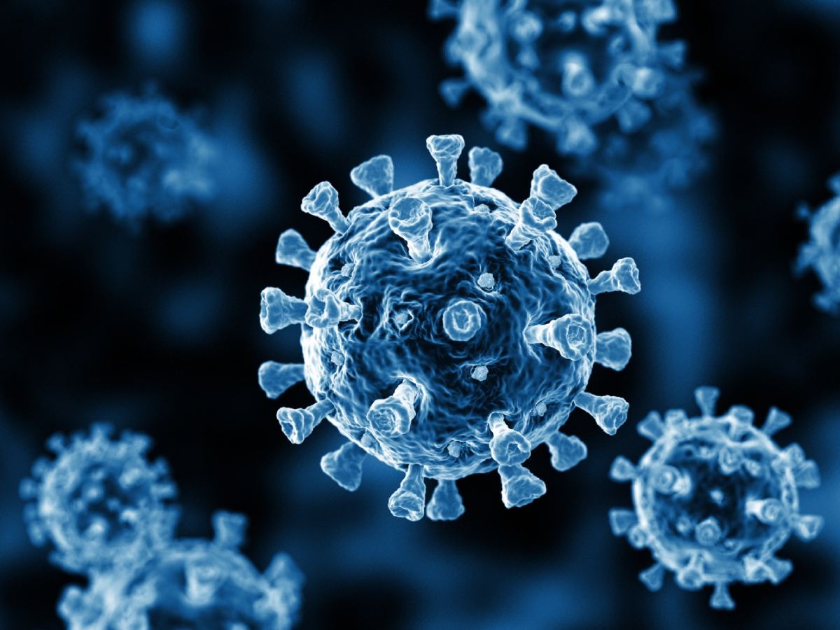 Coronavirus Is Again Becoming Active