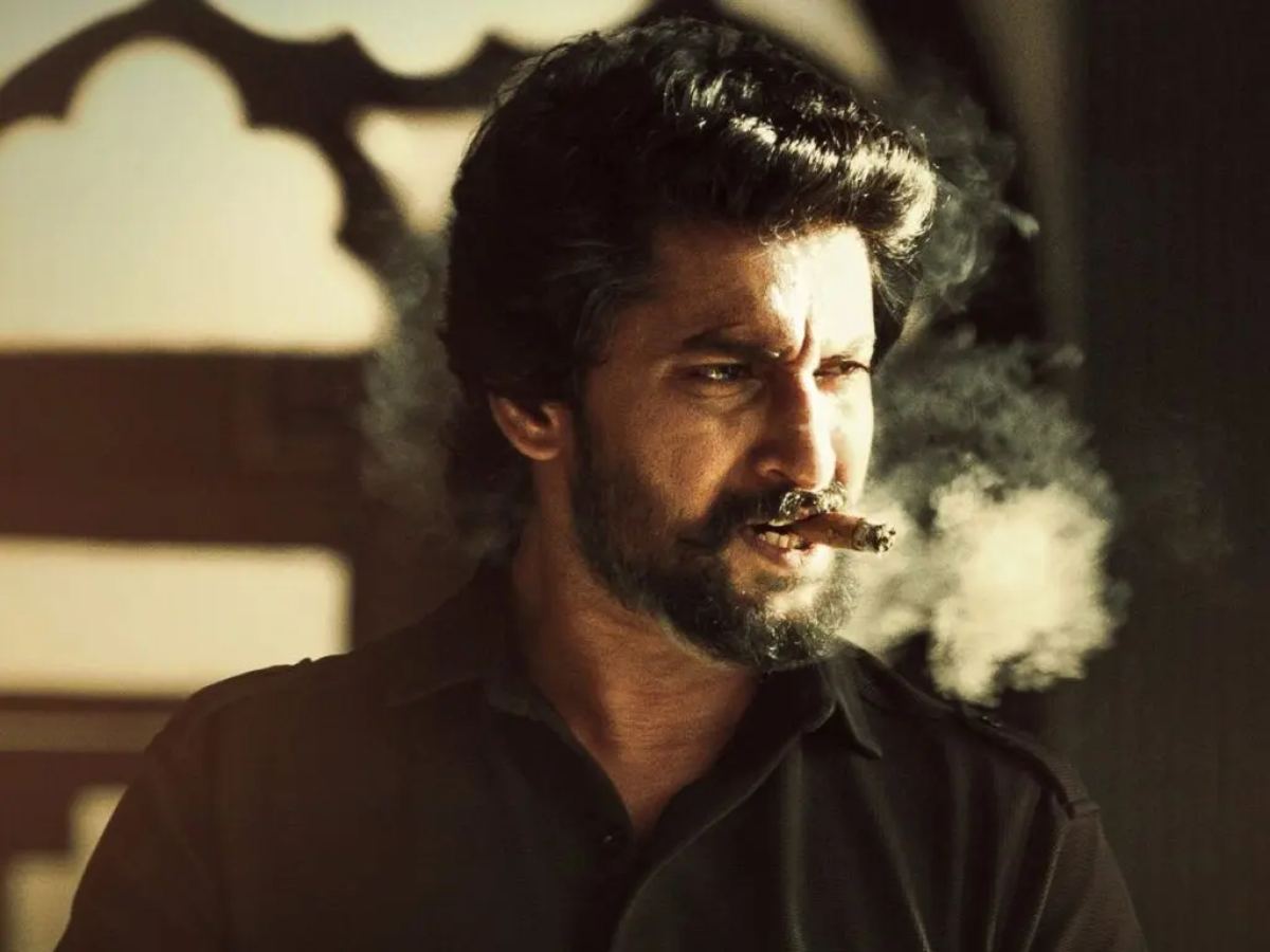 HIT 3's Hindi Box Office Performance: Shocking, Yet Somewhat Expected