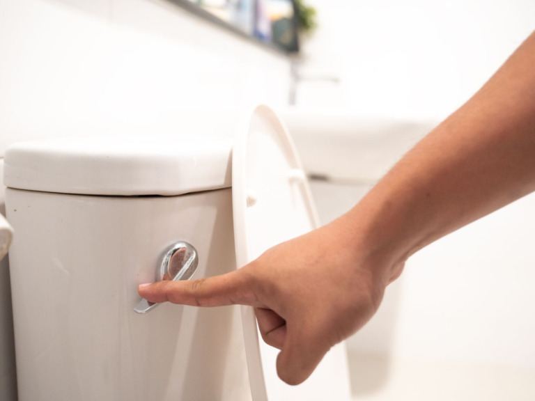 Toilet Flush Turn Deadly