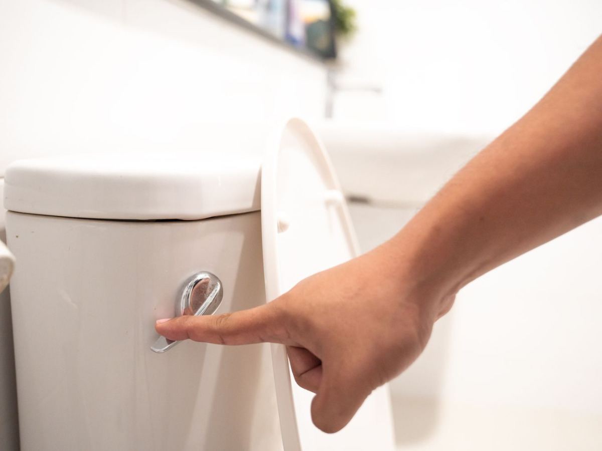 Toilet Flush Turn Deadly
