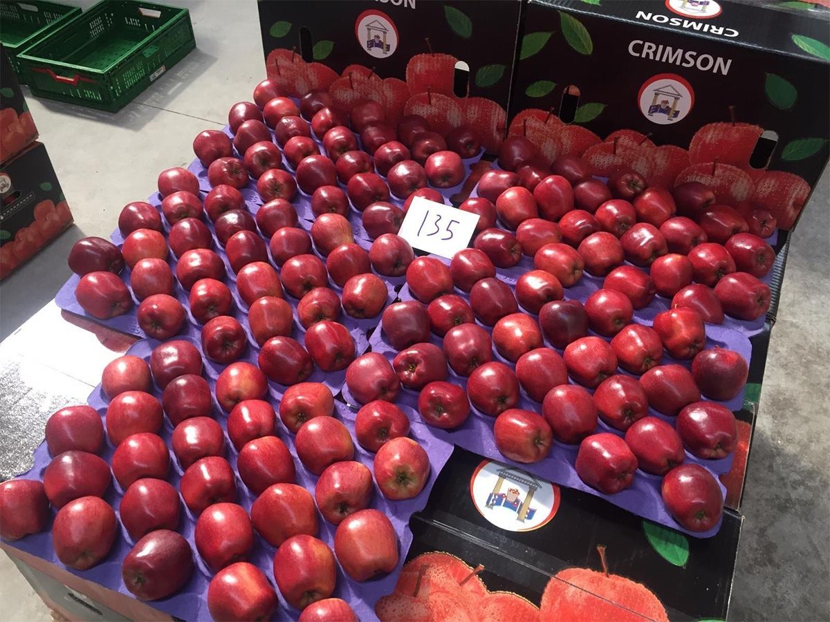 turkey-apples-ban