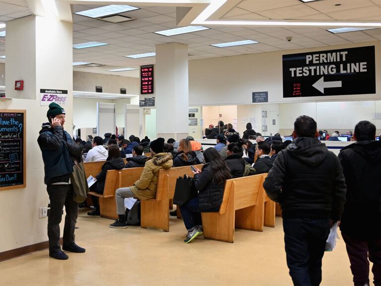 Driving License Chaos