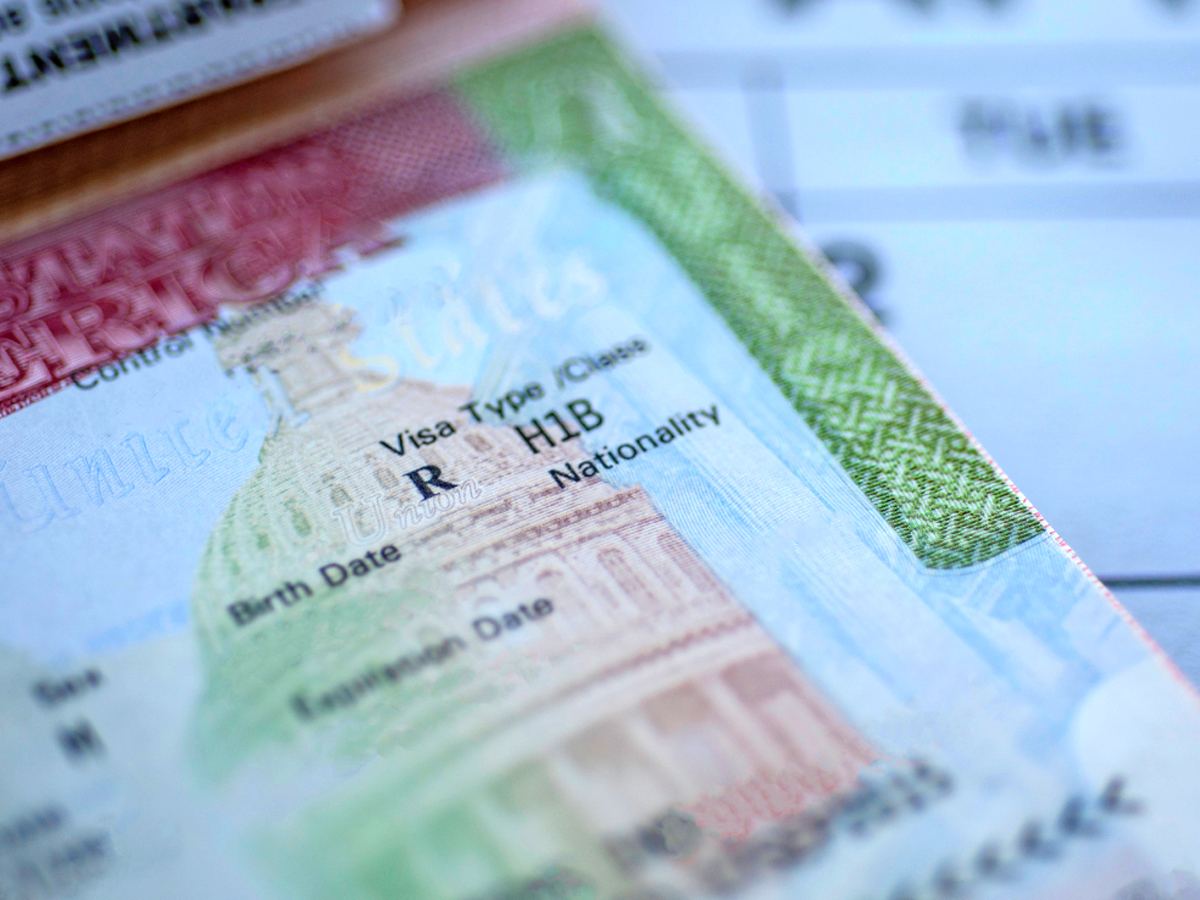 H-1B Scam OPT Fired