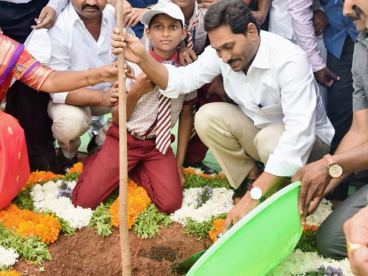 Jagan Planted A Tree on Occassion of World Environment Day