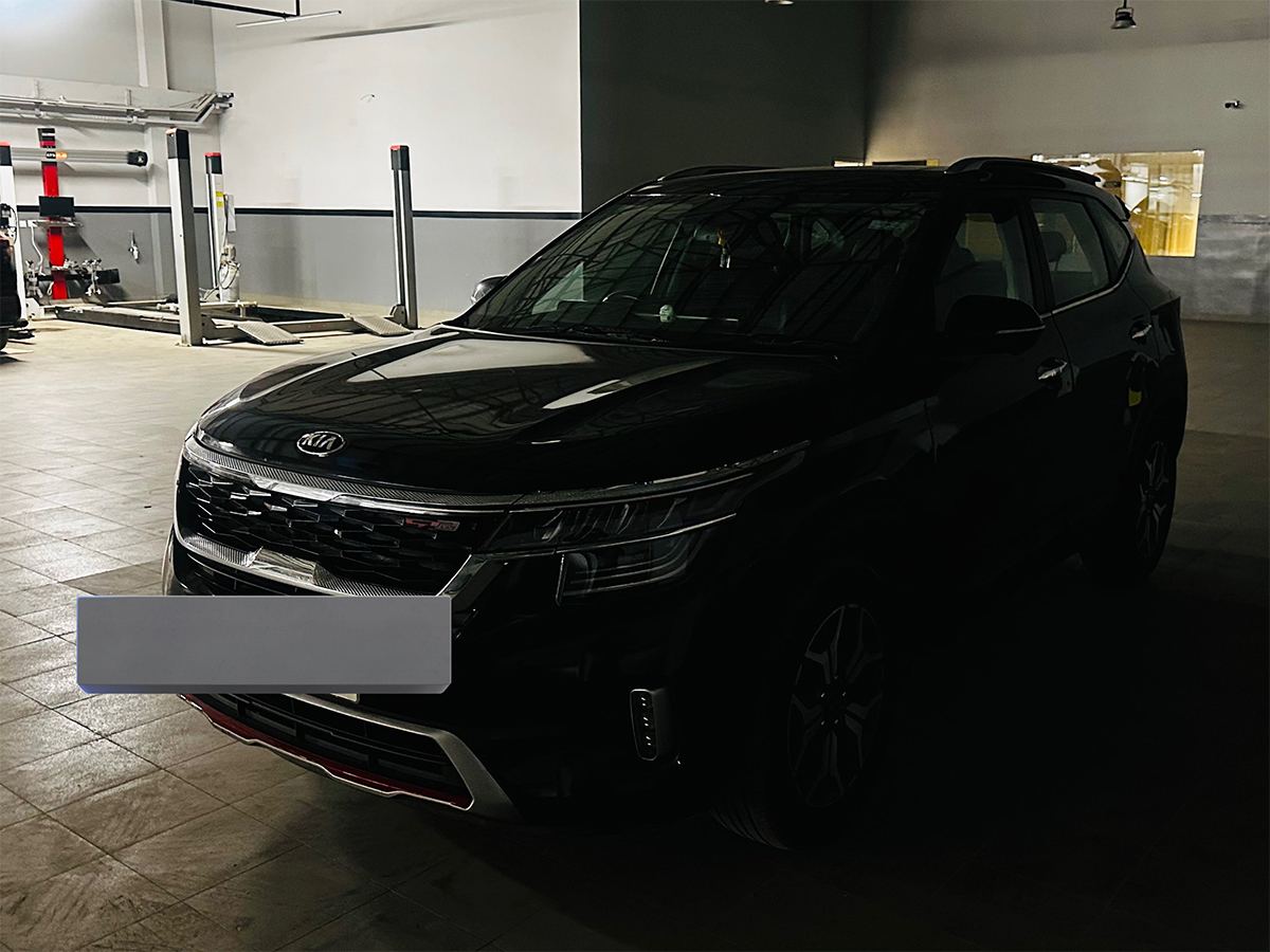 Kia Seltos Owner Viral Post