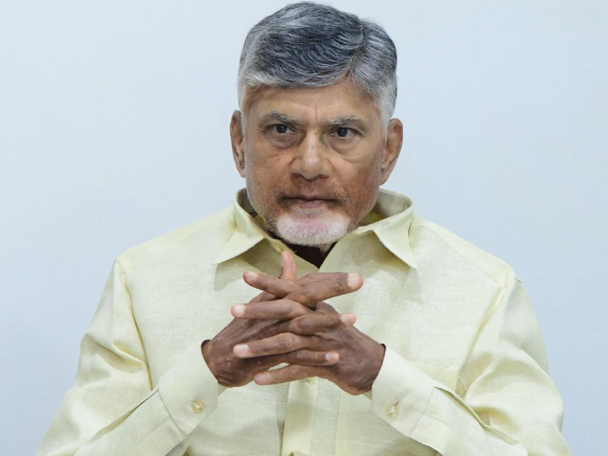 Review On Chandrababu Naidu's One Year Rule