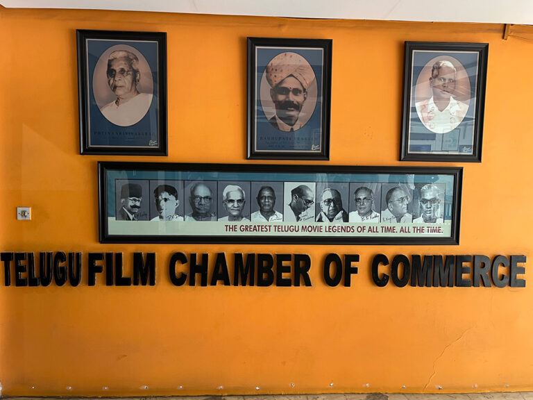 Who Wants Film Chamber Elections Not To Be Held?