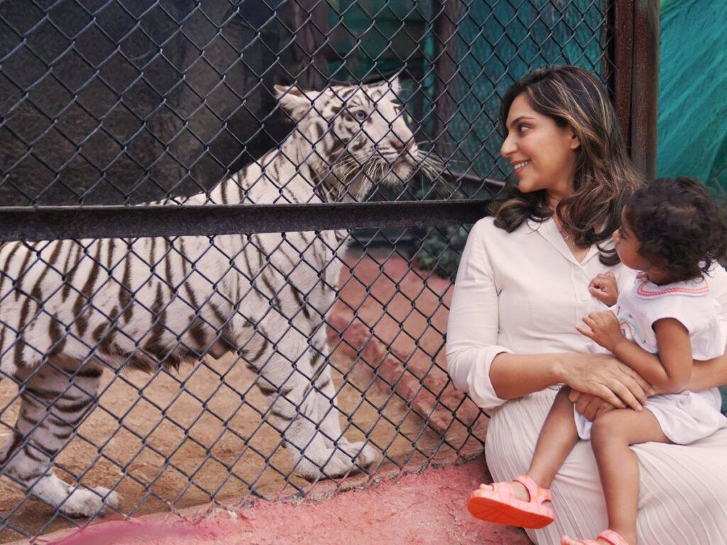 tigress-named-after-charan-upasanas-daughter-klin-kaara