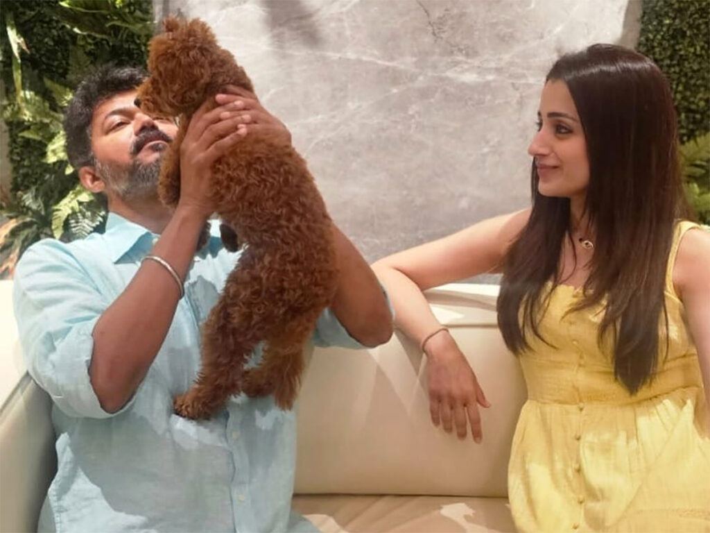 Trisha Vijay Dating Rumors