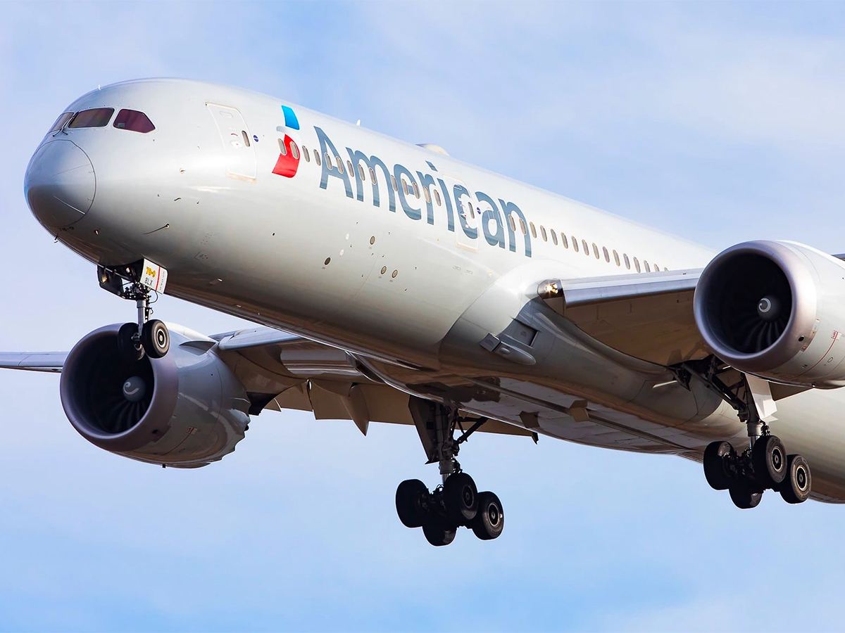 American Airlines Flight Horror