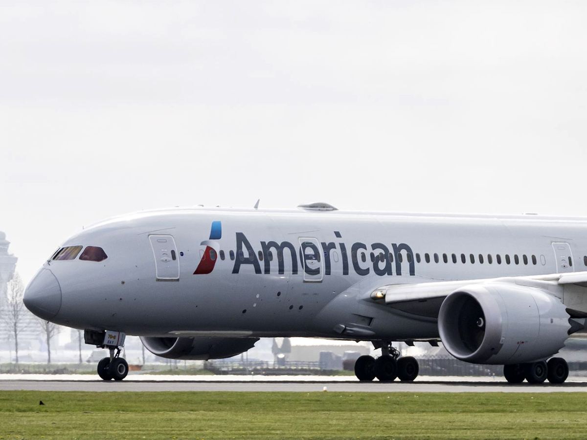 American Airlines neglect