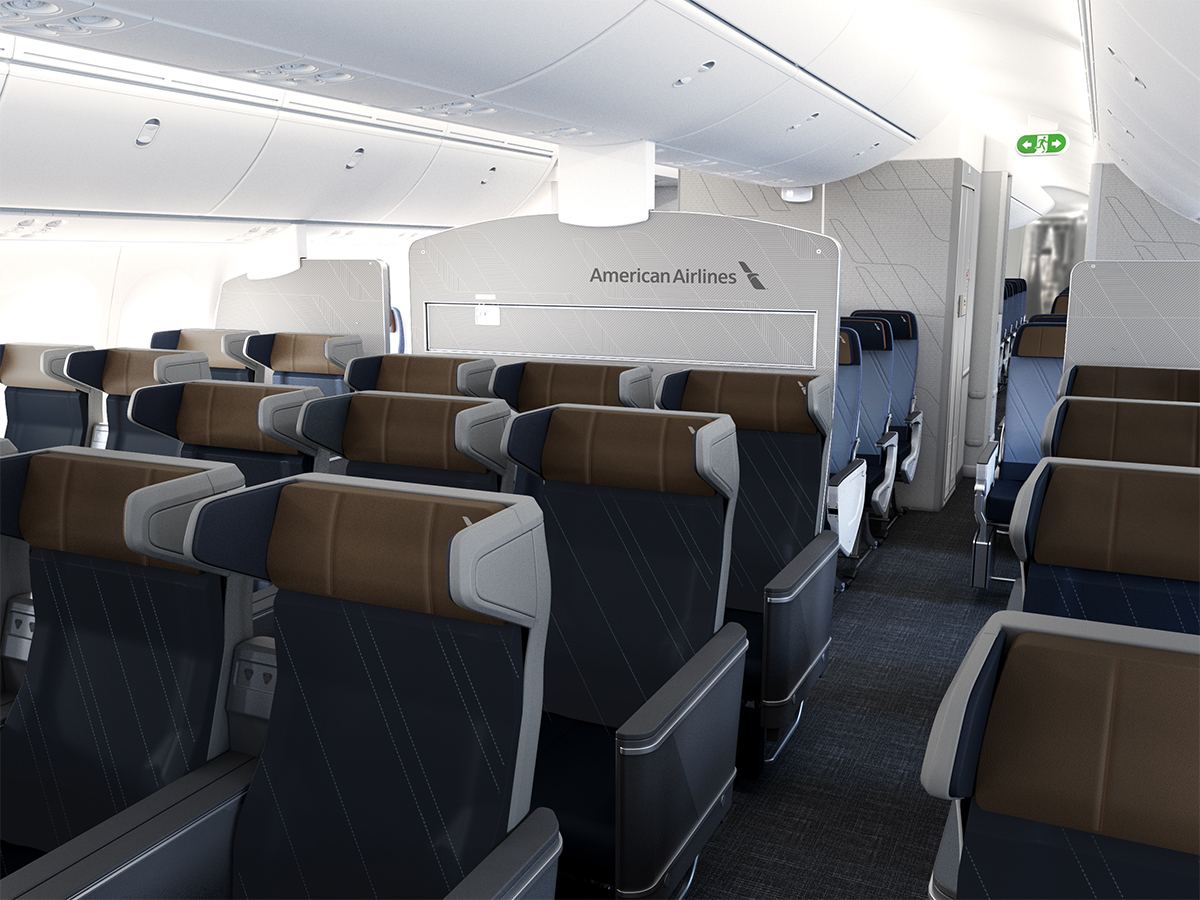 American Airlines Passenger Removal
