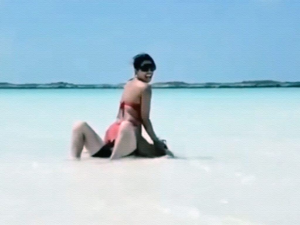 Priyanka Chopra Trolled for Beach PDA With Nick Jonas