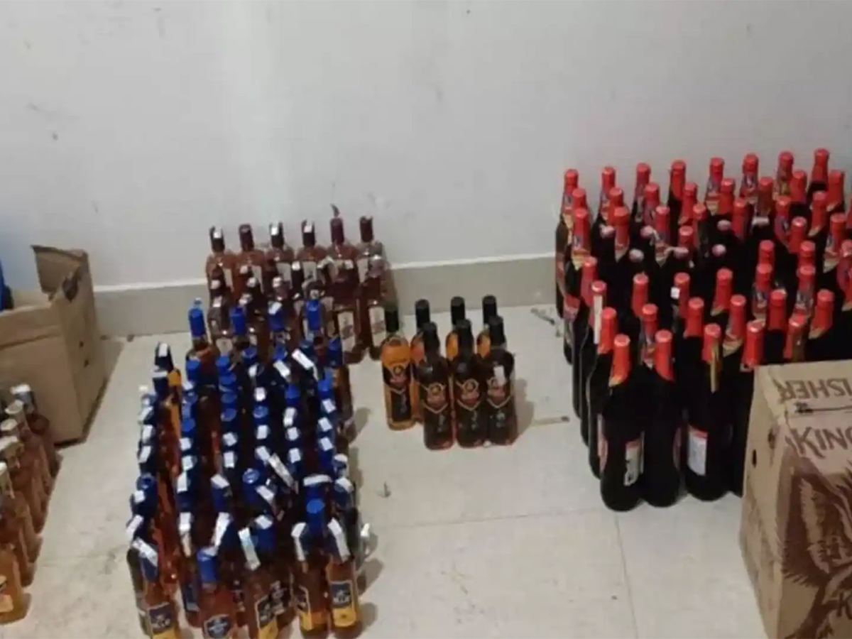 Rats Drank 800 Alcohol Bottles