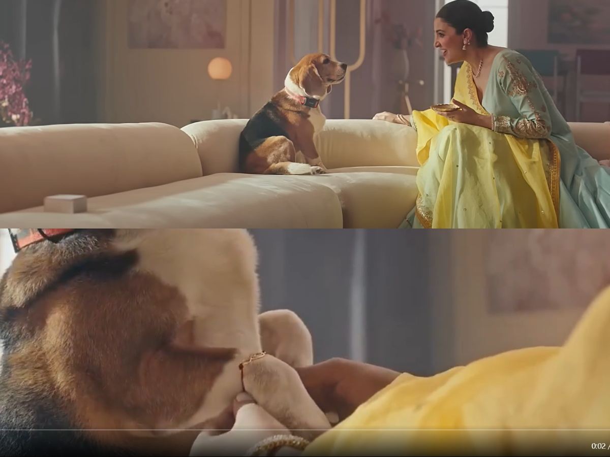 Anushka Sharma ties Rakhi to pet dog