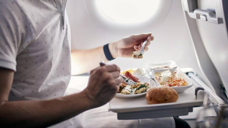 Air India in-flight meal tray