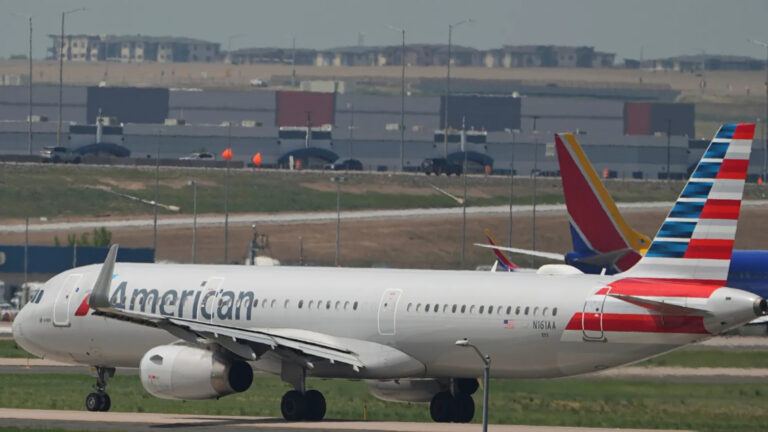 American Airlines passenger dispute