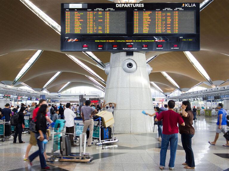 Bizarre Animal Smuggling Indian Traveler Busted