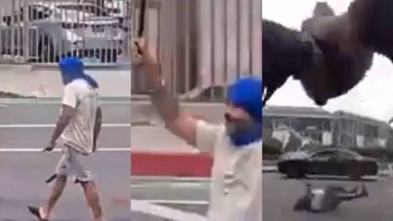 LAPD confronts Sikh man with blade
