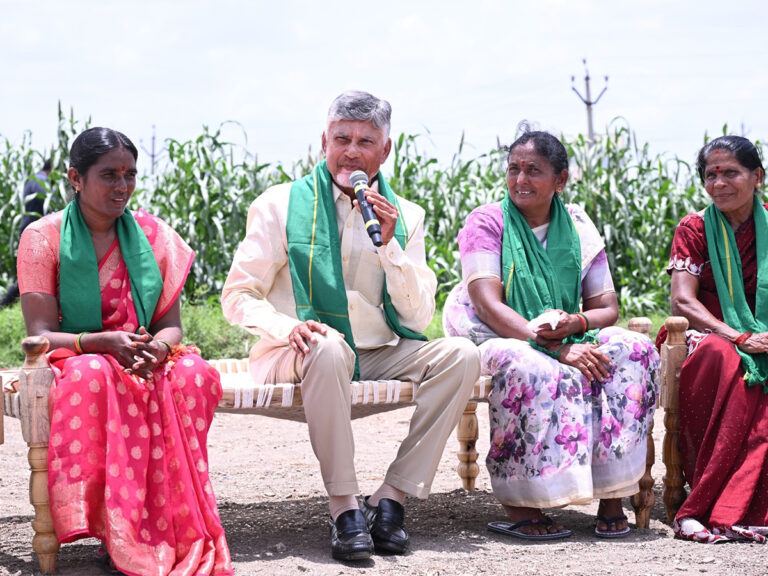 No Trees Cut Chandrababu Naidu