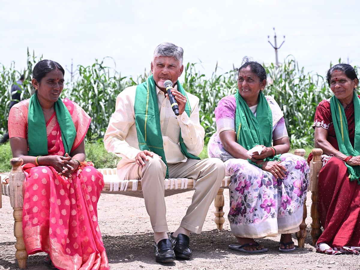 No Trees Cut Chandrababu Naidu