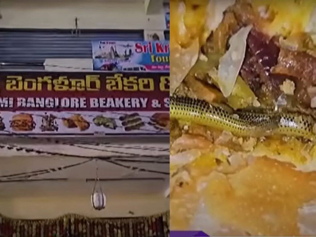Snake found inside bakery curry puff