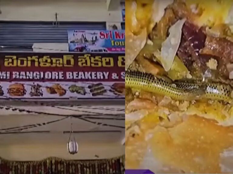 Snake found inside bakery curry puff