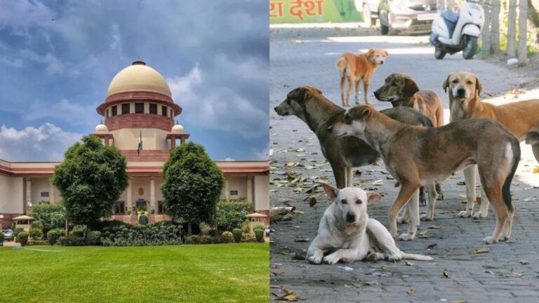 Supreme Court ruling on stray dogs