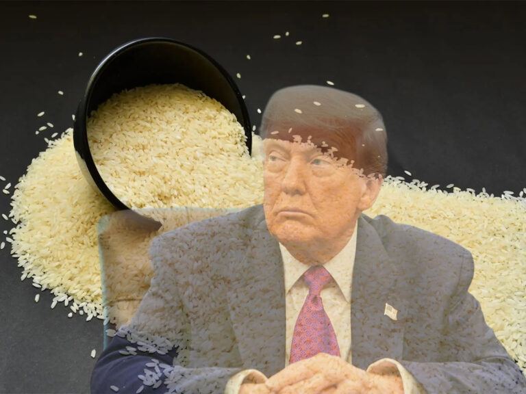 Indian rice prices rise in US due to tariff