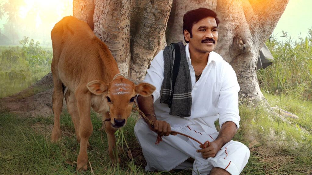 Dhanush Idli Kadai movie release