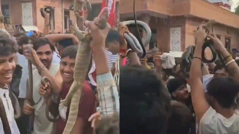 Gogaji Mela snake dance video