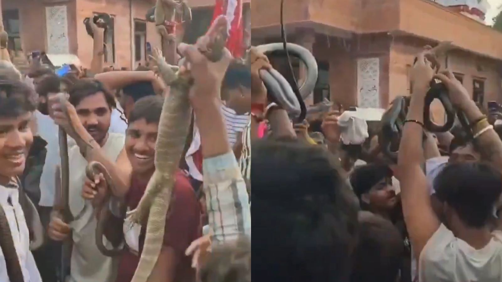 Gogaji Mela snake dance video