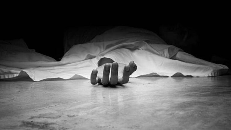 Hyderabad woman kills mother in SR Nagar