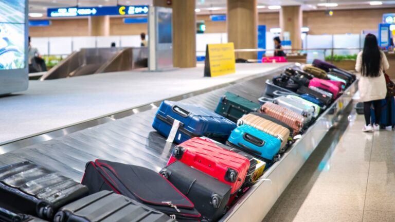 IndiGo passenger suffers baggage delay