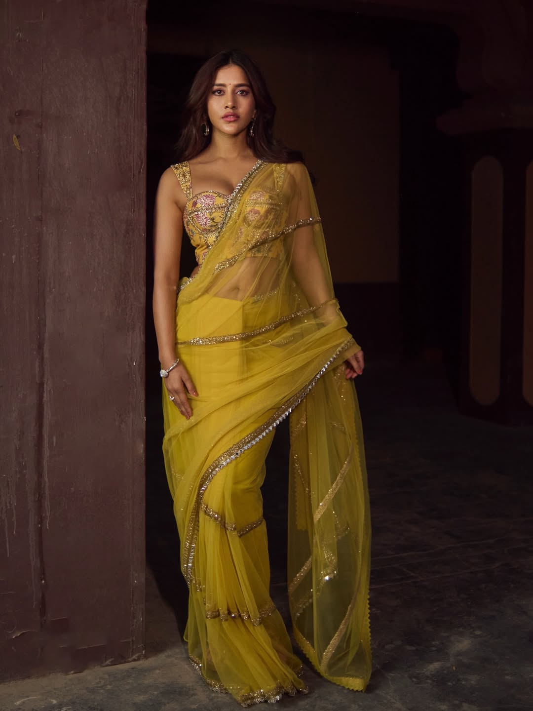 Nabha Natesh shows charm and glamour in lean beauty style.