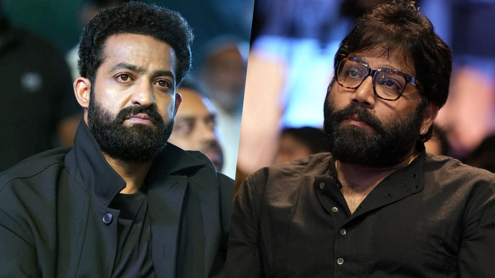 NTR and Sandeep Vanga collaboration idea