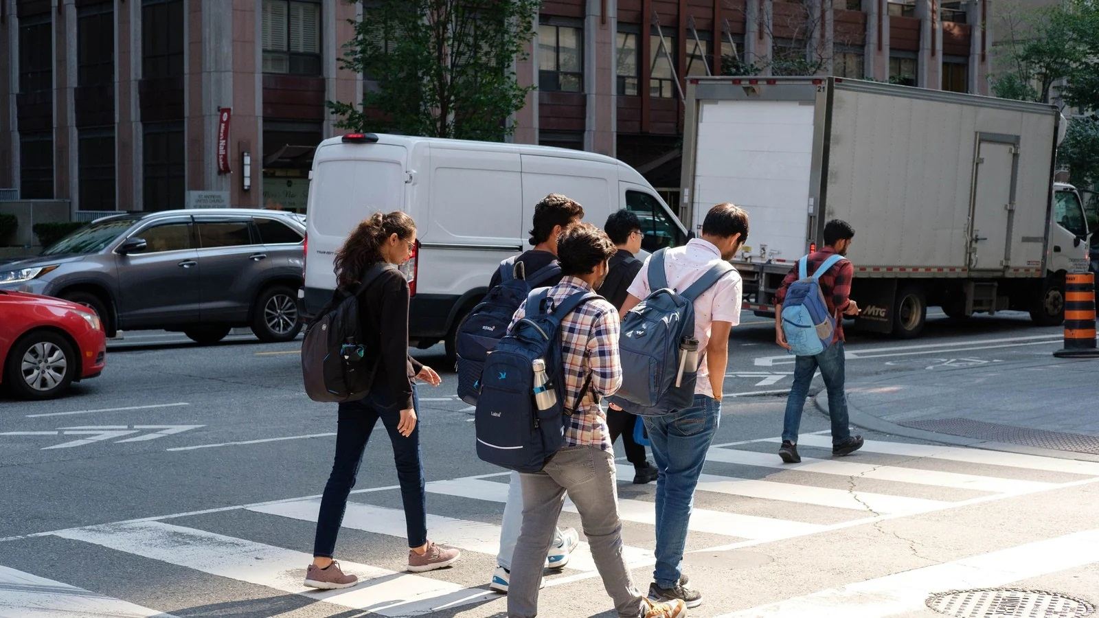 OPT student job scam warning