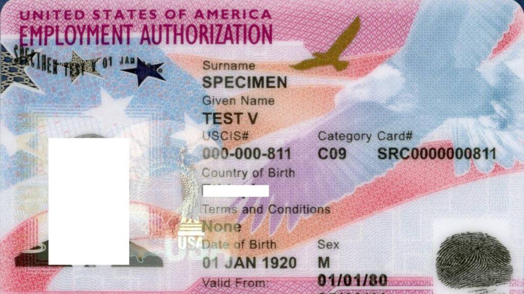 OPT student worried about EAD card delay