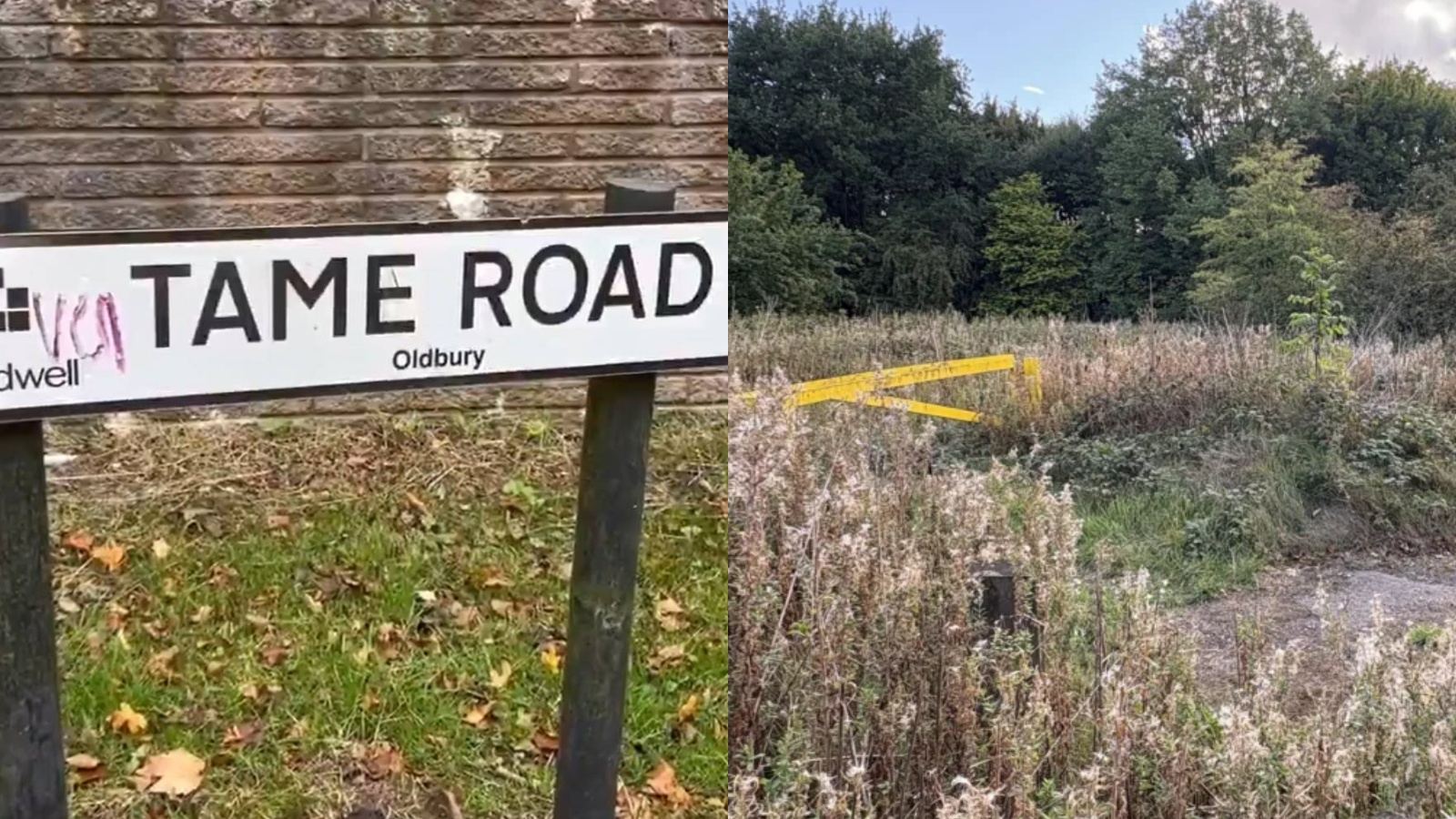 Sikh woman attacked in UK park