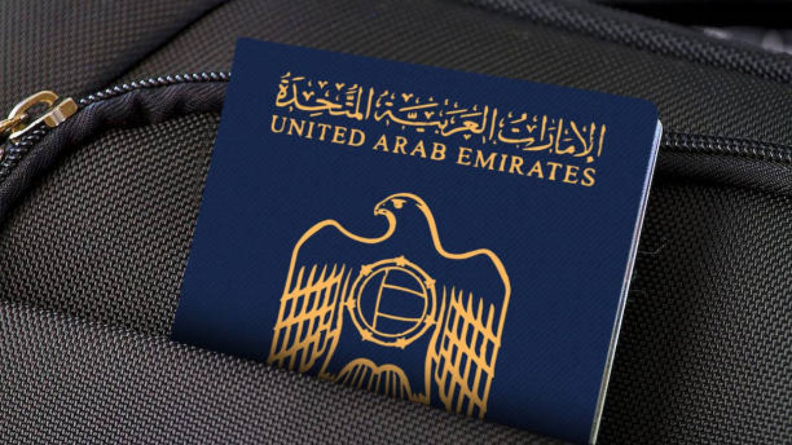 UAE visa application process issue